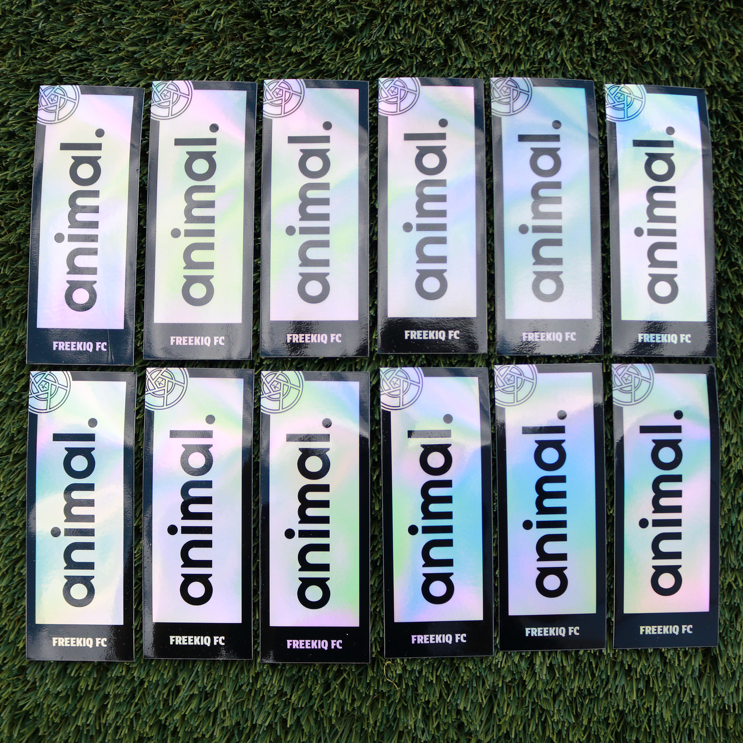 The I.D. Sticker Holographic TEAM PACK (StyleSELECT)